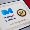 Meta's Llama AI Approved for US Government Use