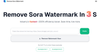 RemoveSoraWatermark in 3s