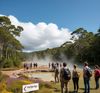 AI Landmark Error Sends Tourists to Nonexistent Hot Springs in Tasmania