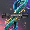 New Artificial Intelligence Model Maps How Genes Work Together Inside Cells