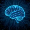 AI Could Help Build More Energy-Efficient Computing Systems Inspired by the Human Brain