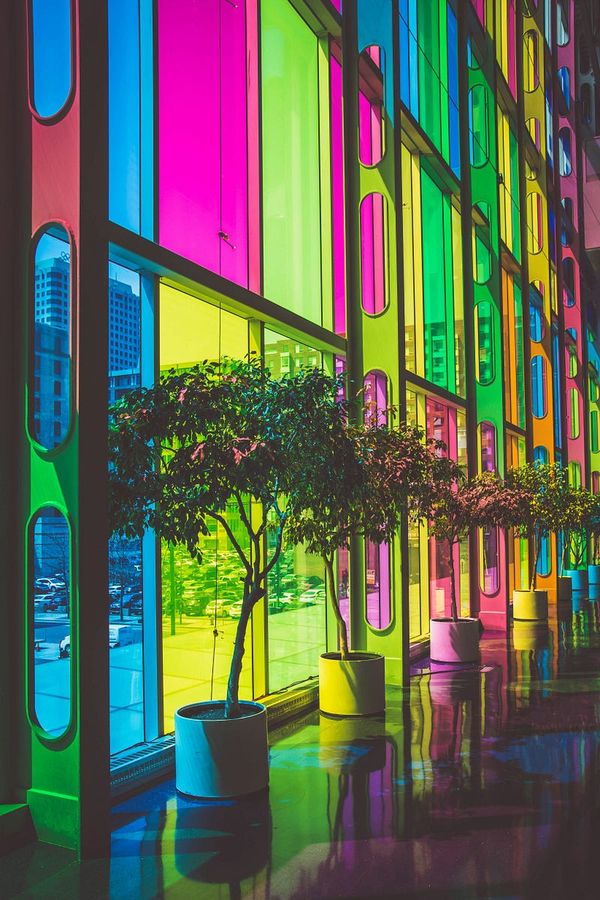 Life Lived in Color