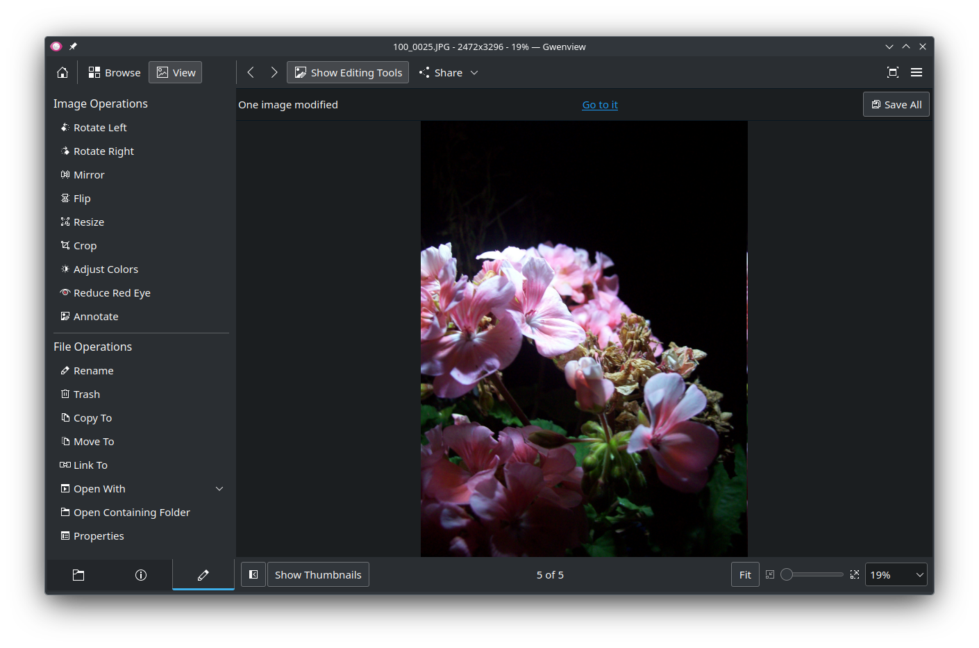 The Gwenview app being used to view and modify a photo of some flowers.