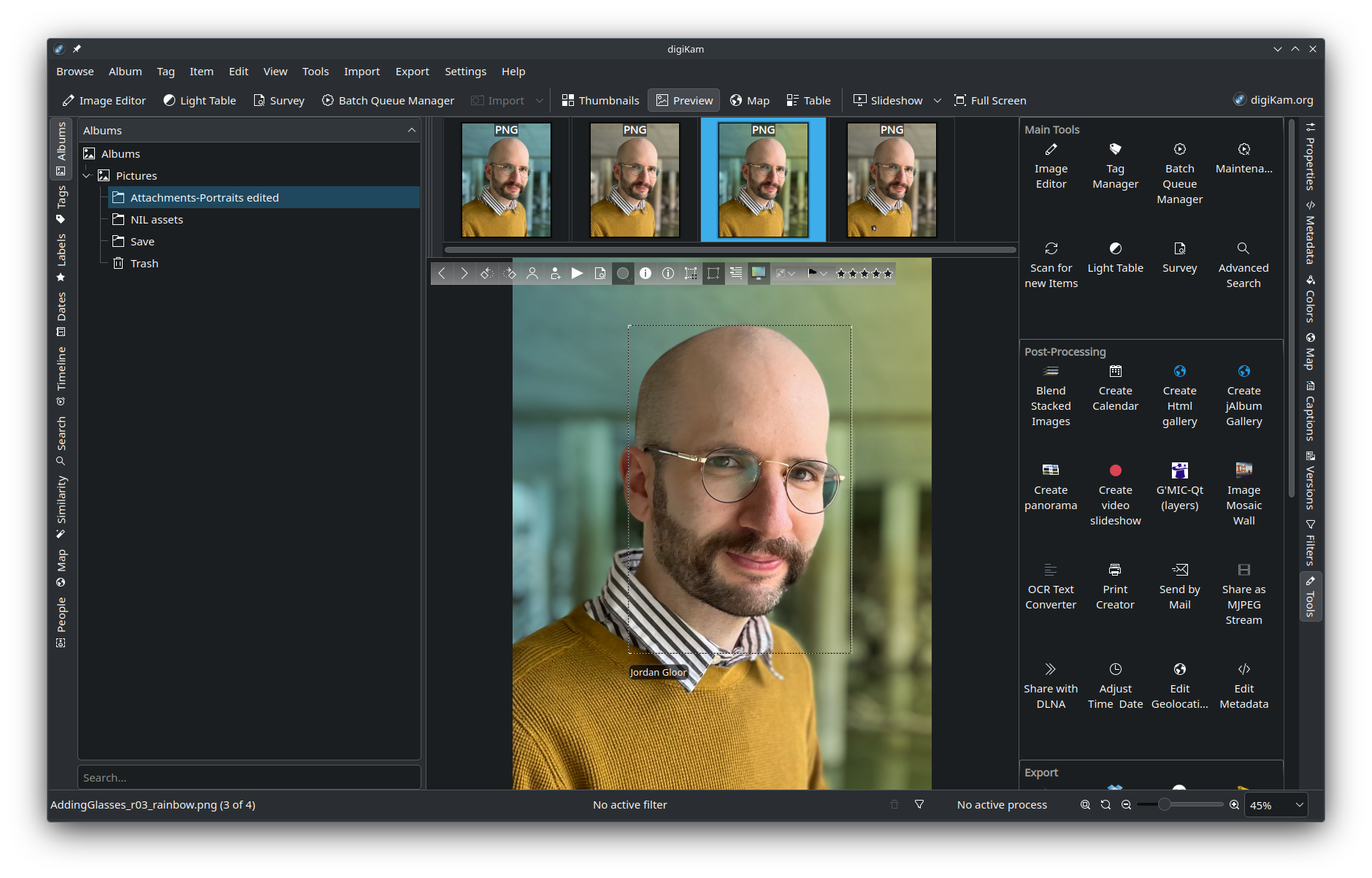 The digiKam app being used to detect a face in a portrait photo.