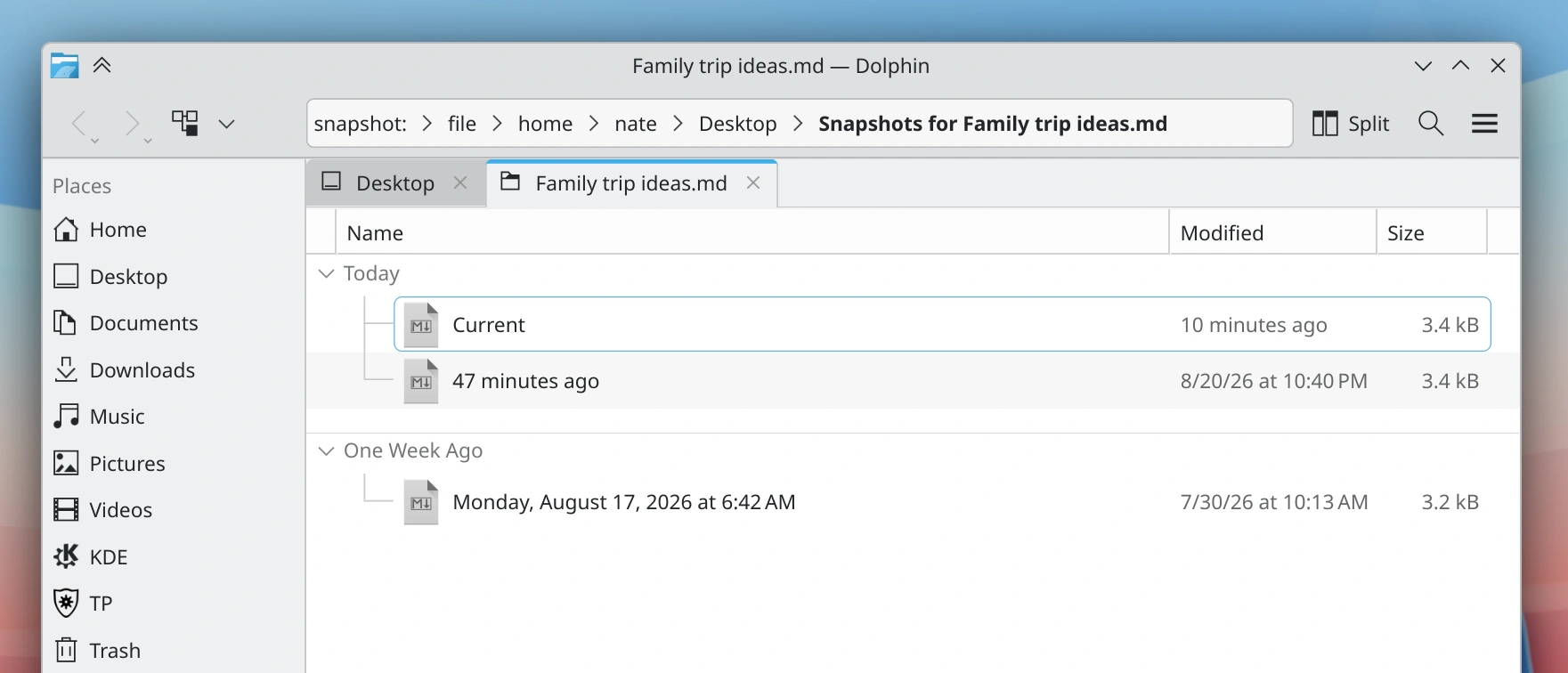 The Dolphin file browser being used to look at and manage snapshots of a specific MD file.