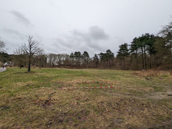 Nieuws uit Castricum: 100 flexwoningen op Duin en Bosch