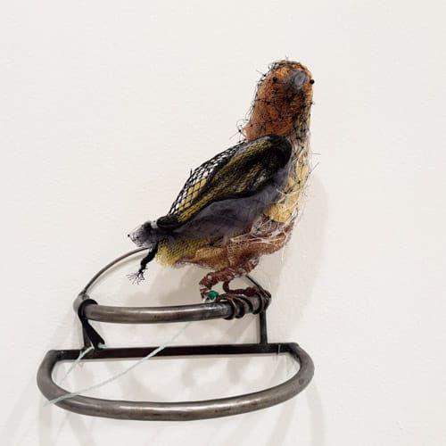 Rubble Rats to Runoff — Live Recording and Gallery Walk with Christy Rupp