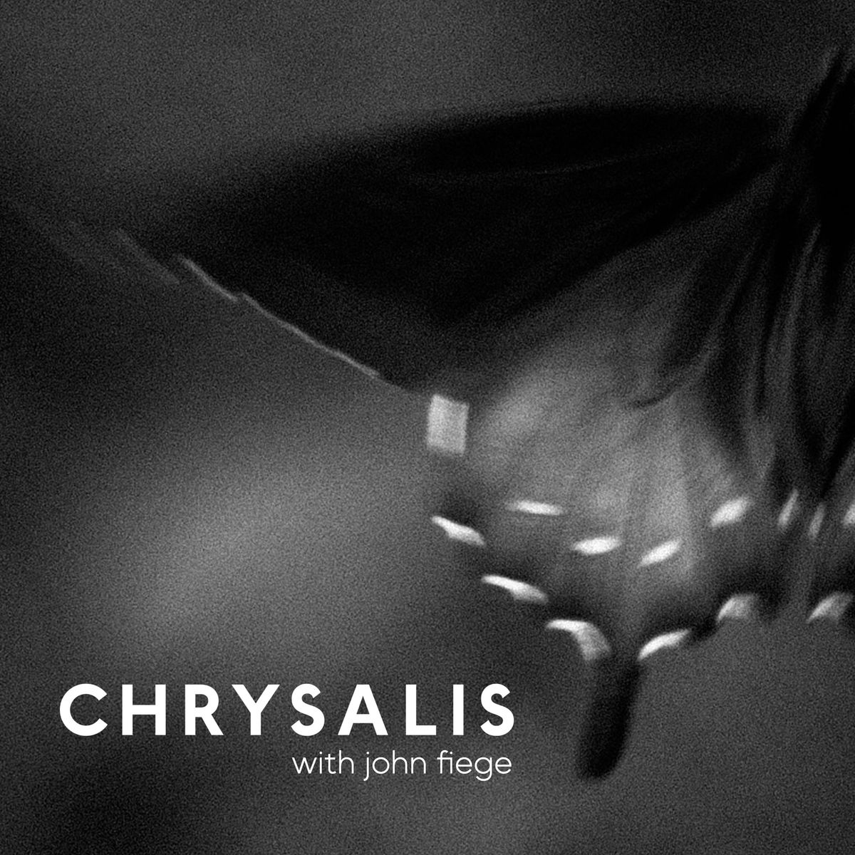 23. Christy Rupp — From Rubble Rats to Plastic Pangolins