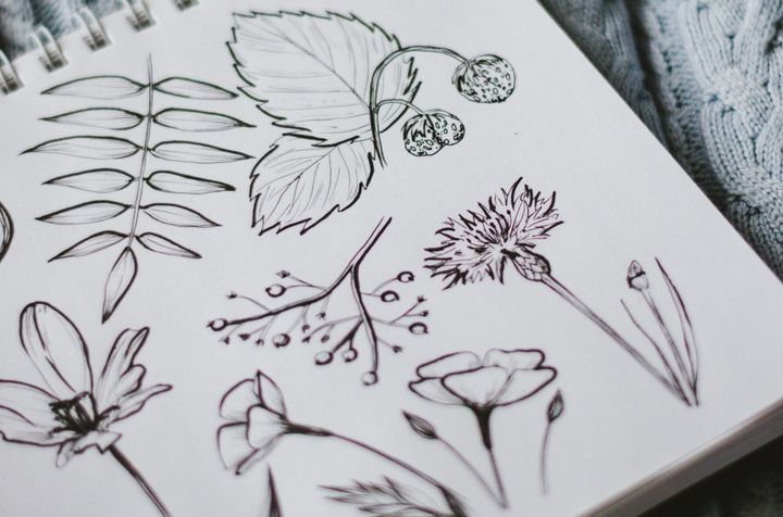 Why drawing is among the most useful tools for learning anything