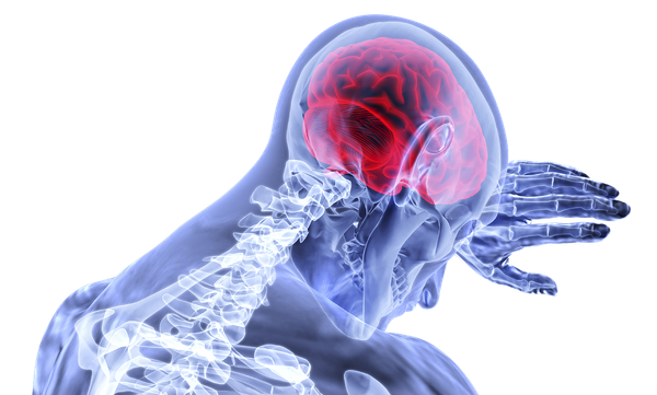Ansiedad: ¿Es Hereditaria?