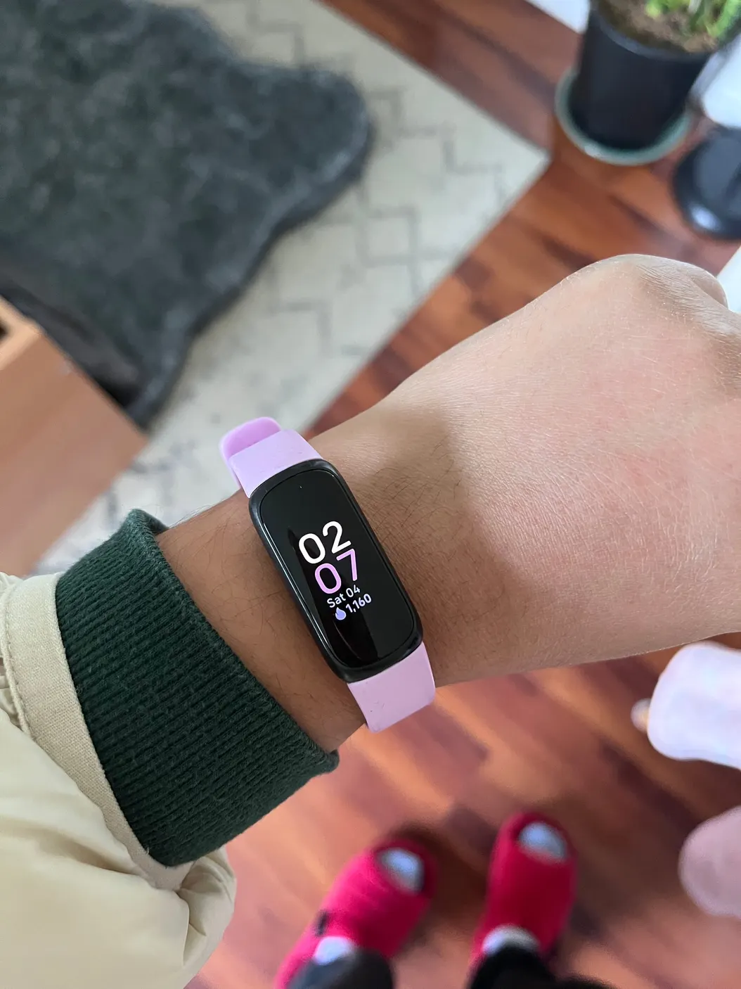 The Fitness Journey (So Far)