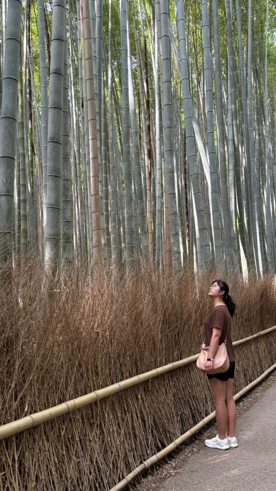 Some Days, Some Nights ... in Japan