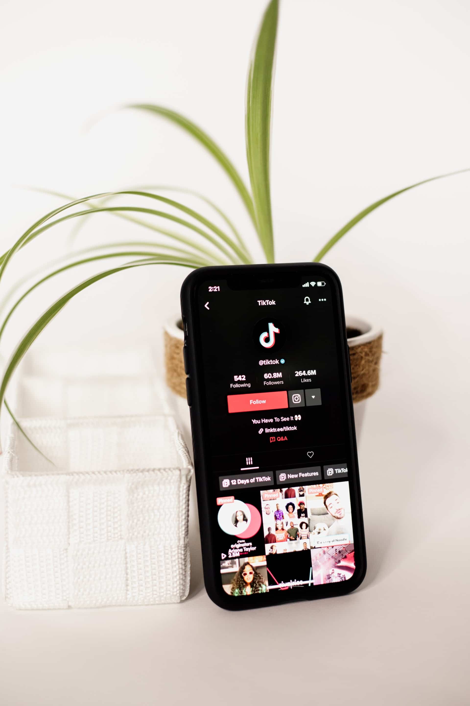 tiktok-swot-analysis-strengths