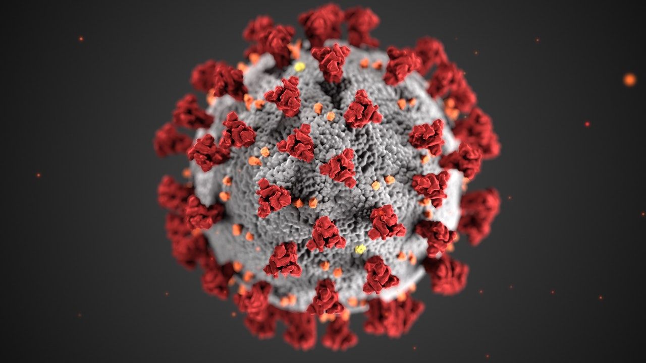 Illustration of the ultrastructure of the Covid-19 virus (CDC/SCIENCE PHOTO LIBRARY)