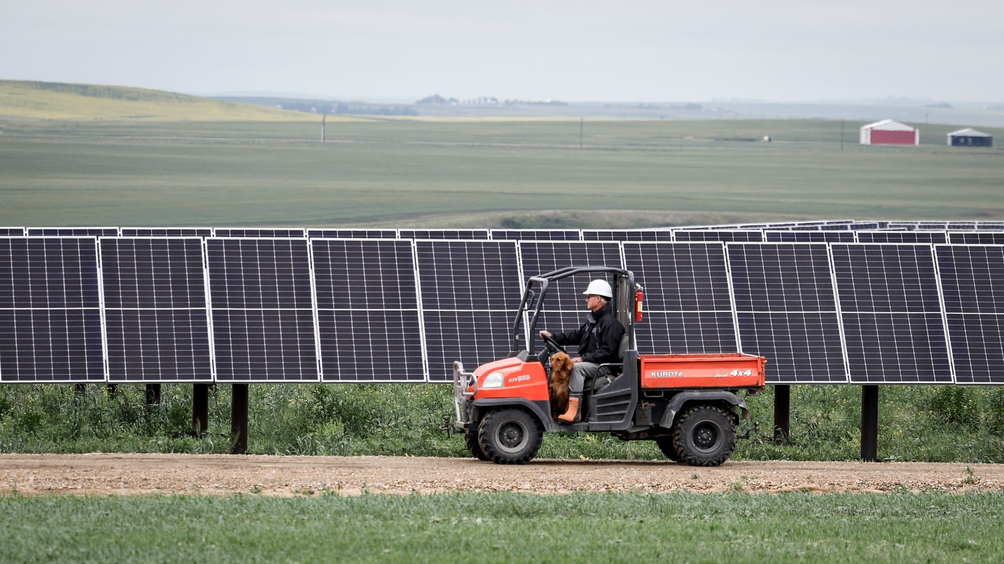 Conservative insider starts lobbying on renewable energy in Alberta