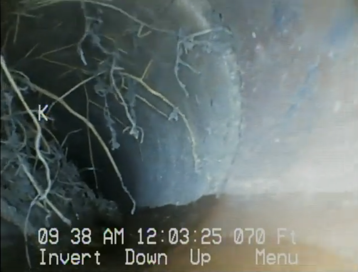 "Why on Earth I should pay $800 for an inspection if I ALREADY BEEN INSIDE THE PROPERTY MYSELF"