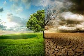 So what is a green investment?