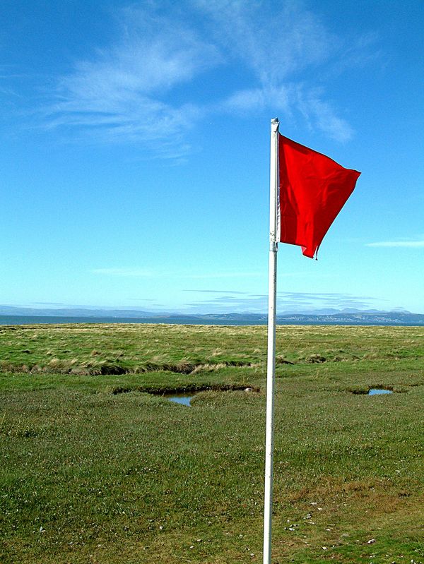 Red flags in Your Relationship