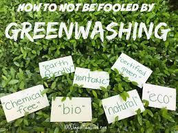Can you really find green investments?