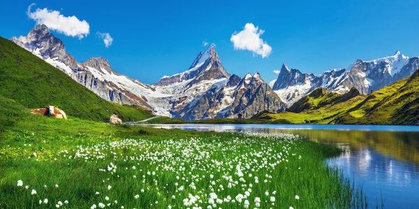 Australia - The New Switzerland