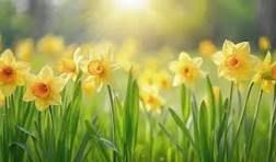 Spring economic round up