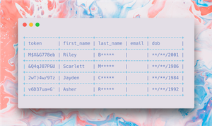 PII Data Vault