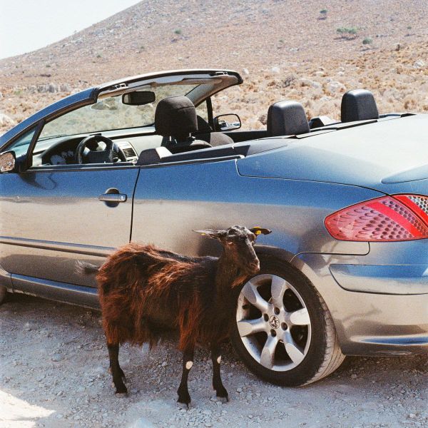 EXEK – "Prove the Mountains Move"