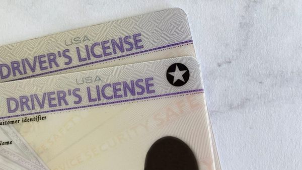 How Many People in the USA Have a Driver's License
