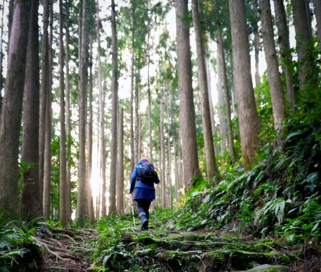 The Most Important Pilgrimage Is Toward God