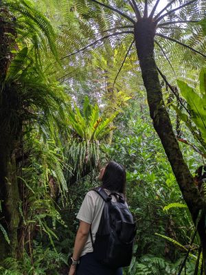 2023年3月の日記