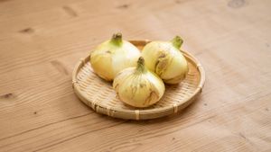 A Tasty Guide to Seasonal Spring Onions: Recipes and Cooking Ideas