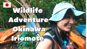 Vlog: Iriomote Island Adventure