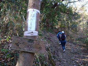 2023年11月の日記