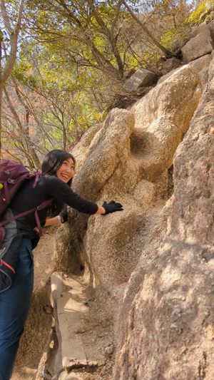 2024年2月の日記