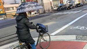 Urban Adventures: Embracing Osaka's Vibrant Culture and Nature #215, 216