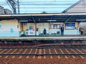 2024年3月の日記