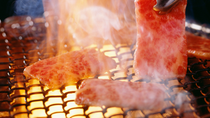 The Art of Yakiniku: Celebrating with Grilled Delights #212