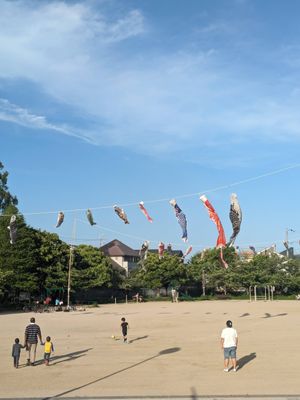 2024年5月の日記