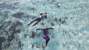 2025年6月の日記