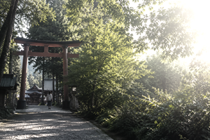 Is 'Oshikatsu' Japan's New Religion? (Modern Faith, Part 1)  with YUYU #323