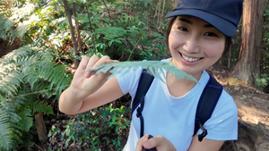 My First Solo Hike in a Year | A Quiet Forest Walk in Fukuoka