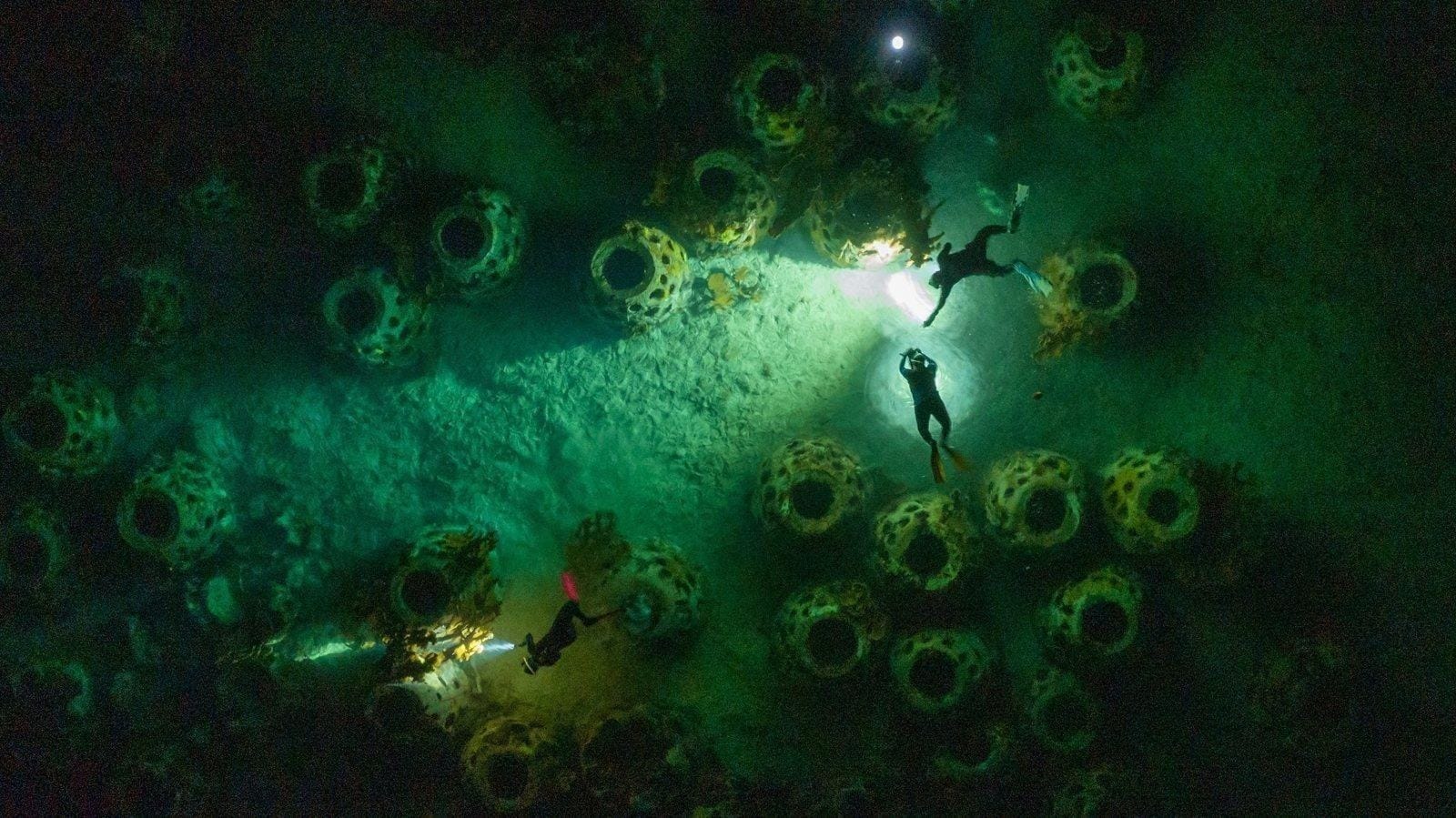 Vista cenital nocturna de buzos con linternas entre estructuras de arrecife artificial