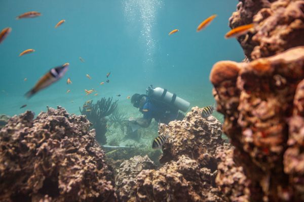 Aquí los museos respiran bajo el agua