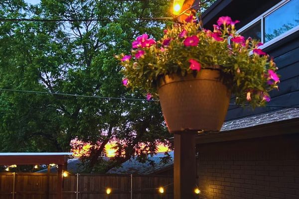 Hanging plant framed by a Fort Worth sunset at a furnished pool house in Southwest Fort Worth, Texas.