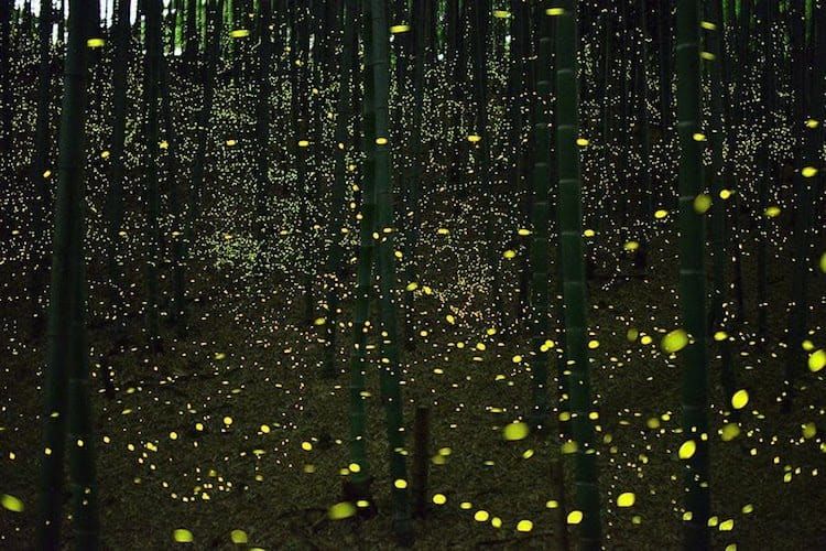 What about these lights in the dark?