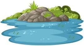Goodbye to the Pond