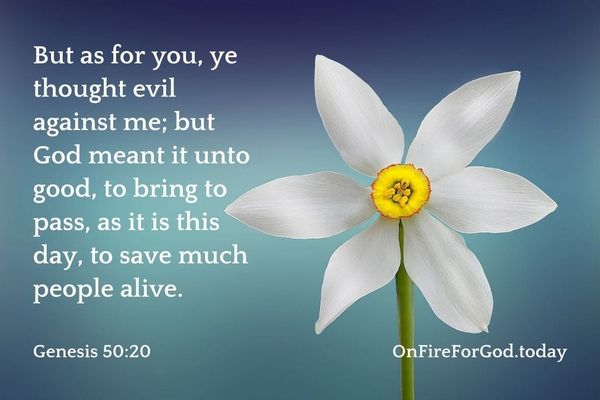 God's Intention