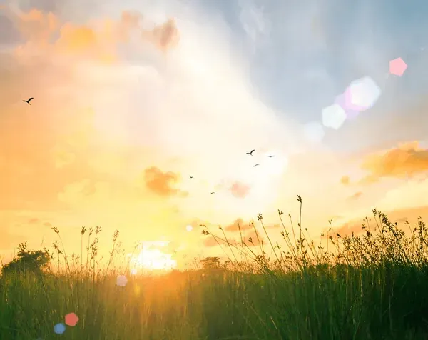 New Day