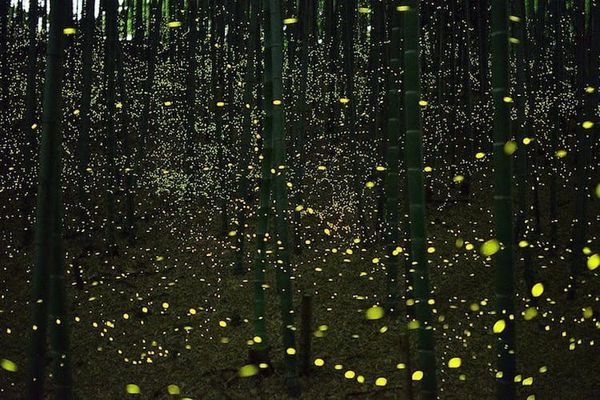 What about these lights in the dark?