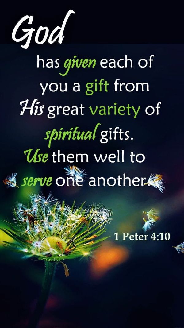 Perusing 1 Peter 4 Today